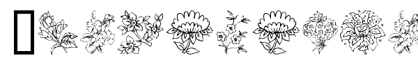 Traditional Floral Design font preview